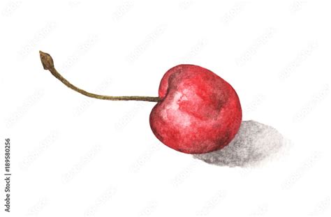 Hand drawn watercolor painting cherry on white background. Stock ...