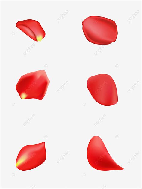 Red Rose Petals PNG Image, Petal Material Red Rose Ai Vector Element ...