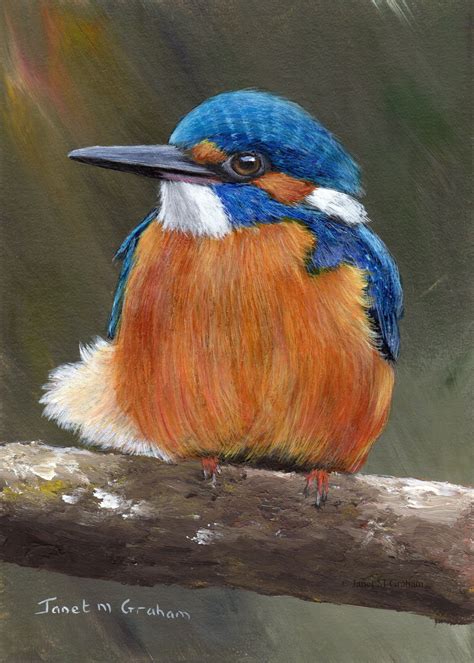 Original Bird Painting Art Kingfisher SFA Wildlife 5 X 7 Inches Acrylic ...