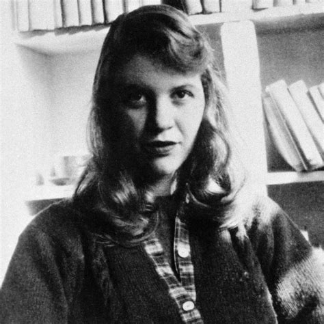 Do We Have a New Sylvia Plath Sex Scandal?