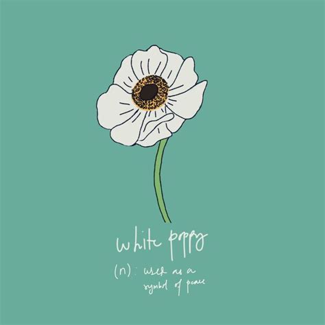 white poppy: symbol of a peace #white #poppy #flower #peace #symbol # ...