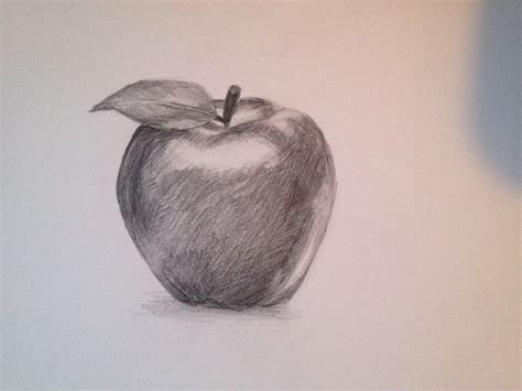 Apple Sketch at PaintingValley.com | Explore collection of Apple Sketch