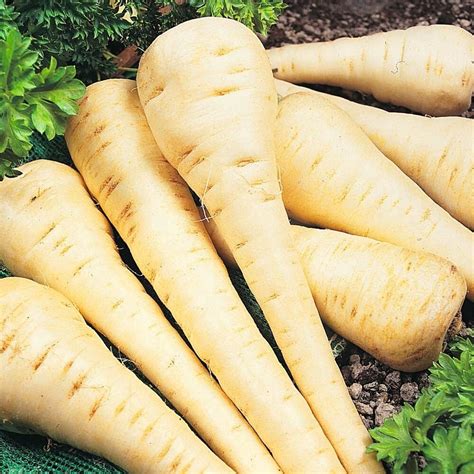 Parsnips 1Kg