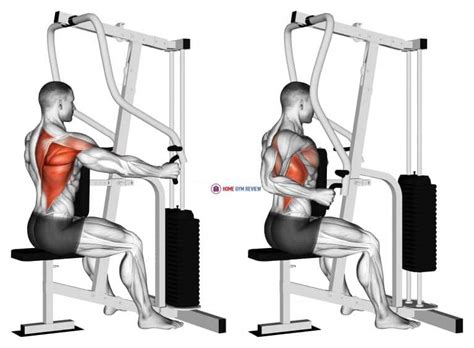 Lever One Arm Seated Row (Seated row machine) - Home Gym Review