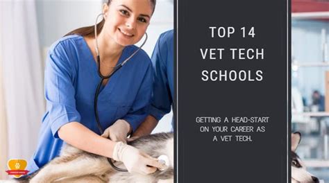 Top 14 Best Veterinary Technician Schools for 2024 * Choose Wisely!