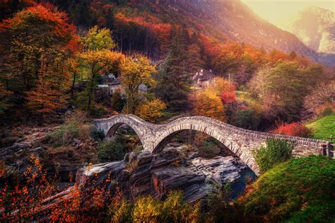 Download Fall Forest Nature Man Made Bridge HD Wallpaper