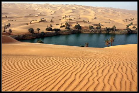 sahara desert | Desert oasis, Sahara desert, Oasis