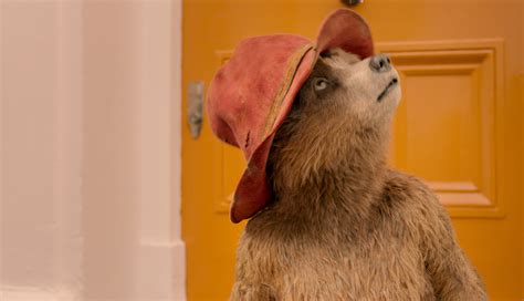 Paddington 3 Gets A Title And New Director - Nerdtropolis