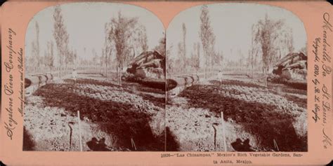 The History Of Chinampas, The ‘Floating Gardens’ Of Mexico