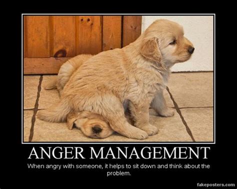 Funny Quotes Anger Management. QuotesGram