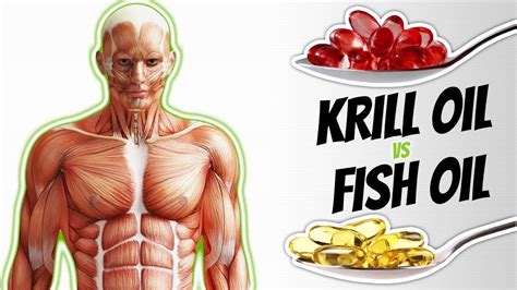 KRILL OIL vs FISH OIL: Which Omega 3 Supplement Is Better (IS IT SAFE ...