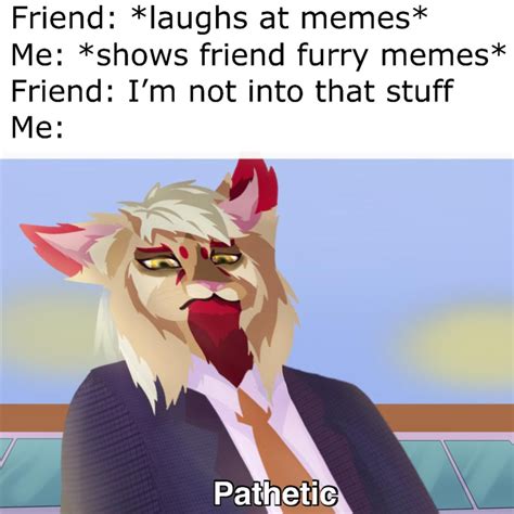 memes_irl : furry_irl