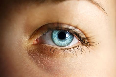 Retinal scans: A non-invasive, inexpensive method to track human aging ...