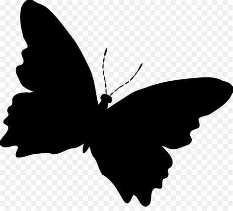 Butterfly Silhouette Clip art - butterfly png download - 800*800 - Free ...