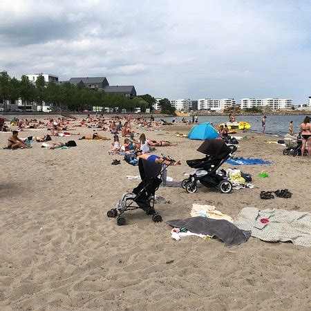 Svanemoelle Beach (Copenhagen) - 2021 All You Need to Know Before You ...