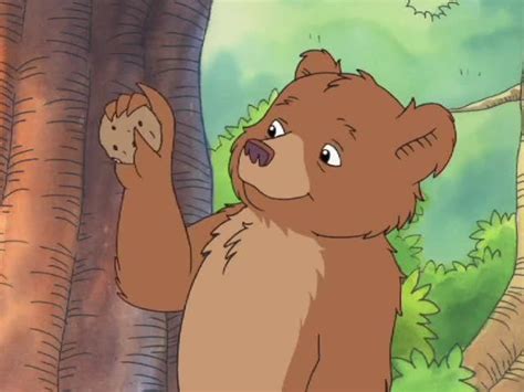 Little Bear Season 5 Episode 10 Little Bear’s Favorite Tree / Something ...