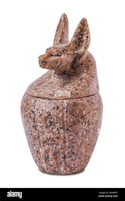 Reproduction of canopic jar. Duamutef, the jackal-headed made of Aswan ...