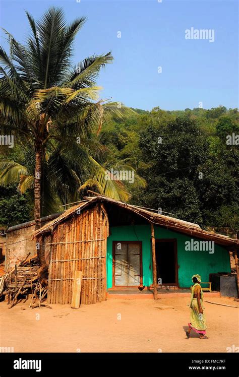 India orissa village life hi-res stock photography and images - Alamy