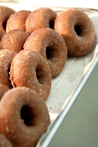 Get Your Doughnut Fix With This Perfectly Plain Doughnut Recipe ...