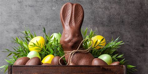 12 Best Chocolate Easter Bunny - Where To Buy Chocolate Easter Bunnies