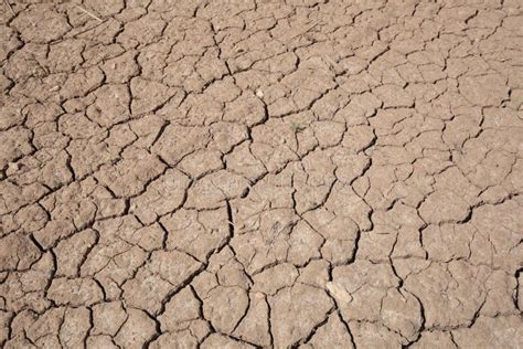 Cracked earth drought stock image. Image of arid, erosion - 69216019