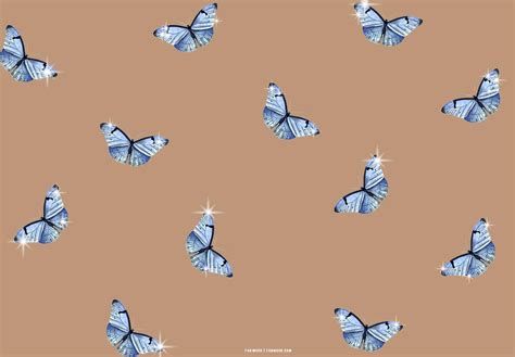 [400+] Butterfly Aesthetic Wallpapers | Wallpapers.com