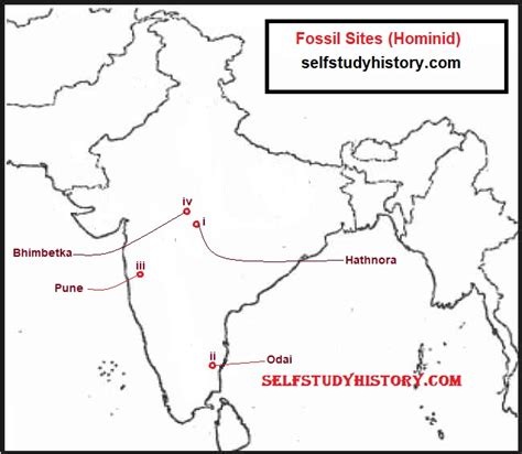 Hominid Fossil Sites – SELF STUDY HISTORY