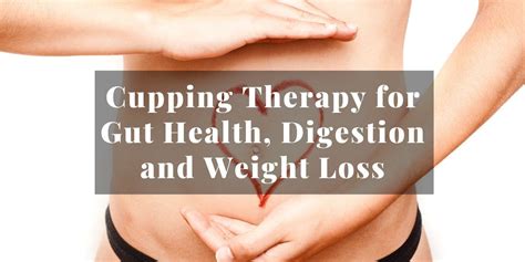 Cupping Therapy for Gut Health and Weight Loss | LURE Essentials - Lure ...