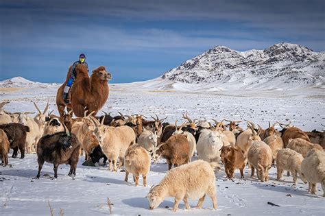 Winter Gobi Desert tour - Amazing Mongolian Gobi Desert in winter