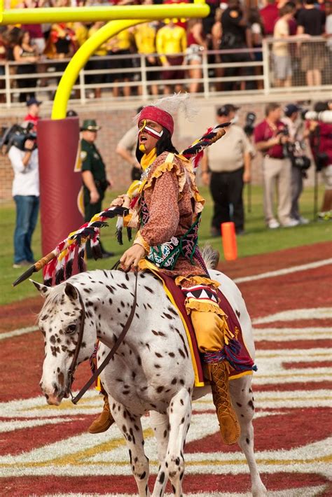 Seminoles Mascot at FSU football game. | Fsu football, Fsu football ...