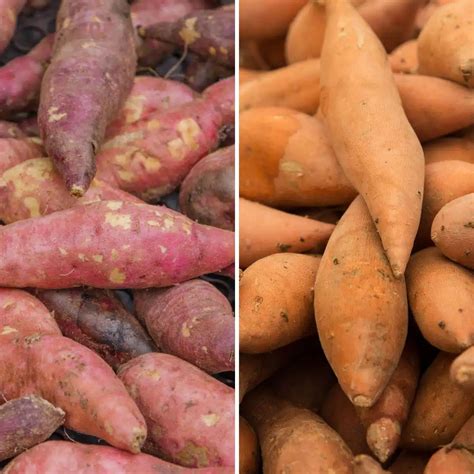 Yams vs Sweet Potatoes: What Are The Differences & Similarities