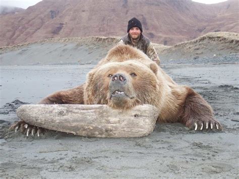 Guided Kodiak Brown Bear Hunts | Katmai & Aniakchak Guide Services