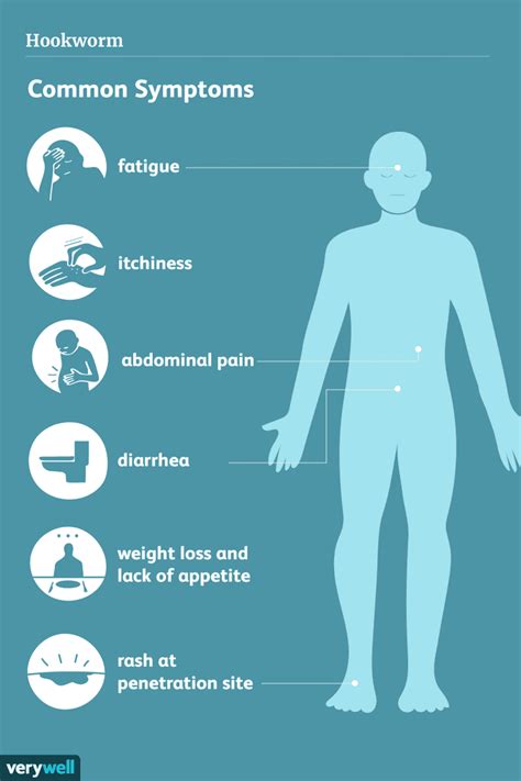 Hookworm: Symptoms, Causes, Diagnosis, and Treatment