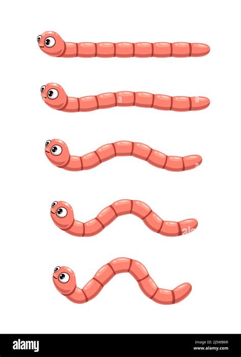 Animated cartoon worm. Animation of crawl earthworm, vector personage ...