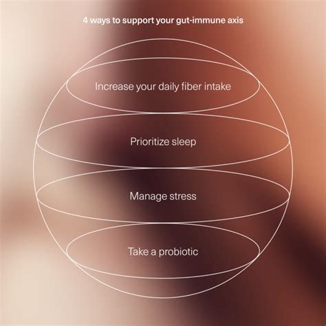 How Does Gut Health Affect Immunity?