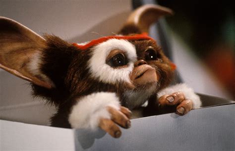 Gremlins Week: The Evolution Of Gizmo | Movies | Empire