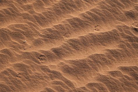 brown sand with water during daytime photo – Free Soil Image on ...