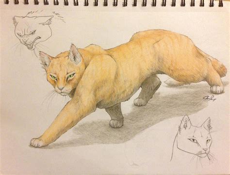 Warrior Cats -- Sandstorm by SoooThisIsArt----Wow on DeviantArt