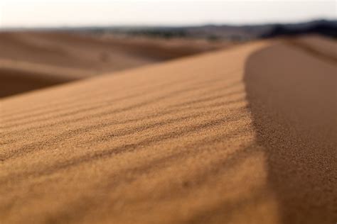 Free Images : landscape, sand, wood, desert, dune, soil, material ...