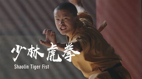 The imitation of the tiger's movements: Shaolin tiger fist | 少林虎拳：勇猛强劲 ...