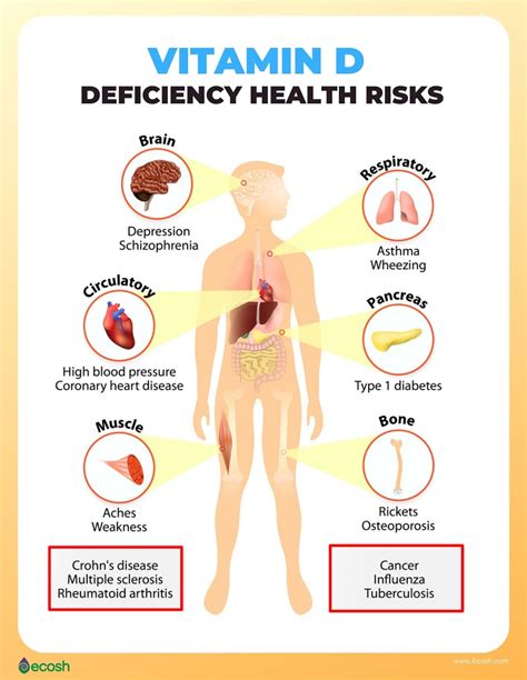 VITAMIN D DEFICIENCY (VDD) - Symptoms, Causes, Risk Groups and 11 ...