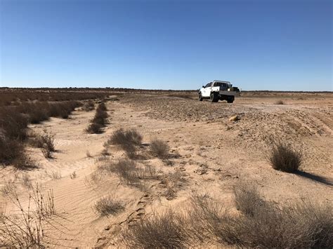 Deserts and xeric shrublands – Australian Acoustic Observatory | A20