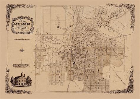 "Map Of Ann Arbor 1854" by mollyfare | Redbubble