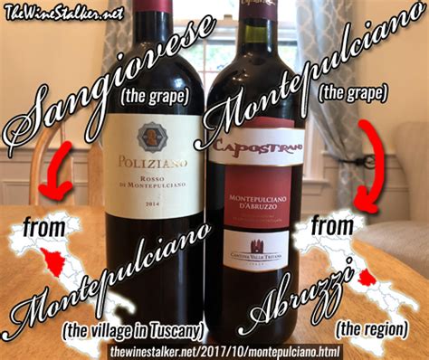 The Dueling Montepulcianos: Vino Nobile vs d'Abruzzo ~ The Wine Stalker