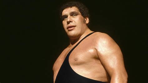 Full Content Listing of HBO’s Andre the Giant Documentary DVD – TPWW