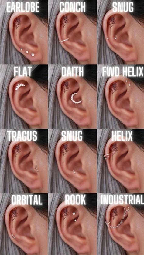 The Ultimate Guide to Ear Cartilage Piercings | Piercing schmuck ...