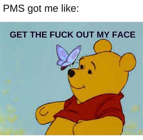 Pinterest | Funny memes, Funny, Funny bears