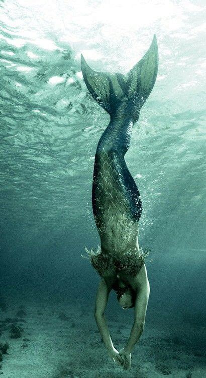 Siréne mer eau profonde | Real mermaids, Les créatures, Le chant des ...