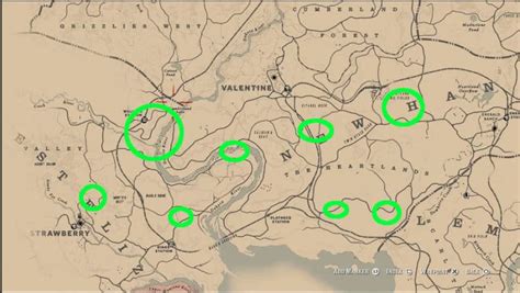 Red Dead Redemption 2 High-Stakes Treasure Map Locations - RDR2.org