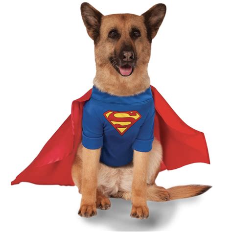 20+ Cute Halloween Costumes for Extra Large Dogs (up to 3XL!) - Hey ...